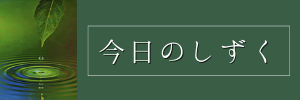 今日のしずく